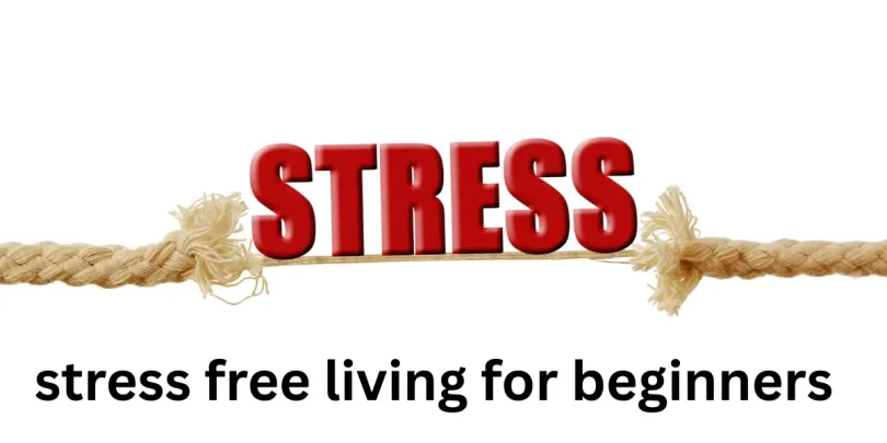 stress free living for beginners