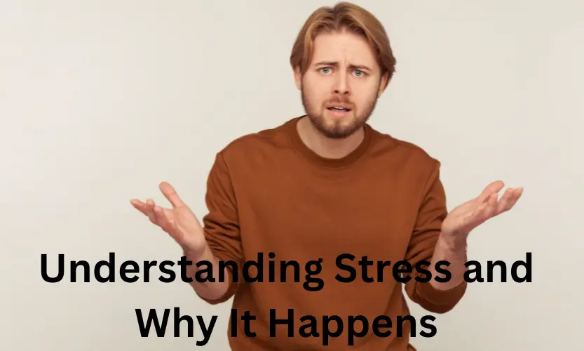 understanding stress and why it happens