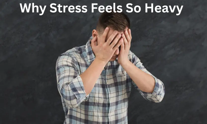 why stress feels so heavy